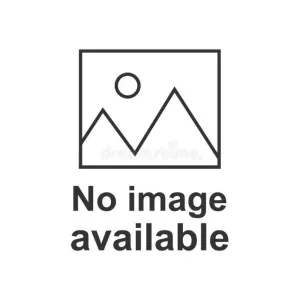Brooks Women's Ghost 16 Running Shoes