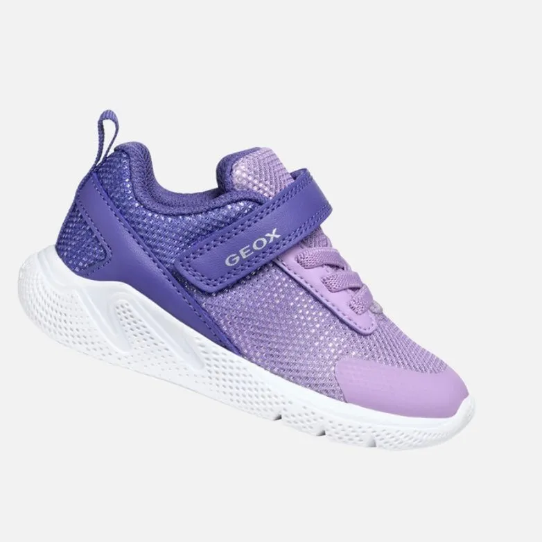 Geox - Sprintye - Dark Violet/Lilac