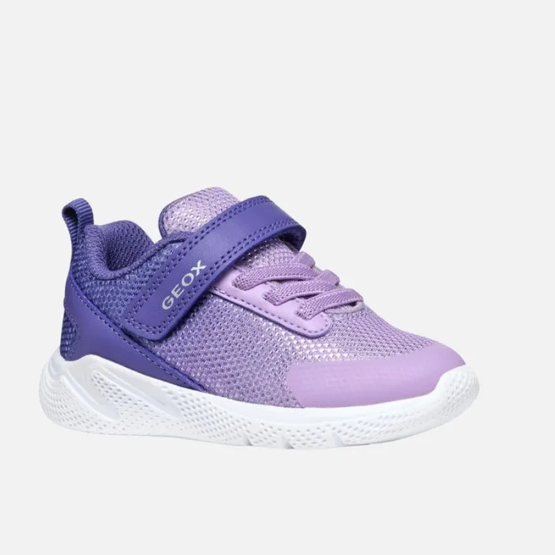 Geox - Sprintye - Dark Violet/Lilac
