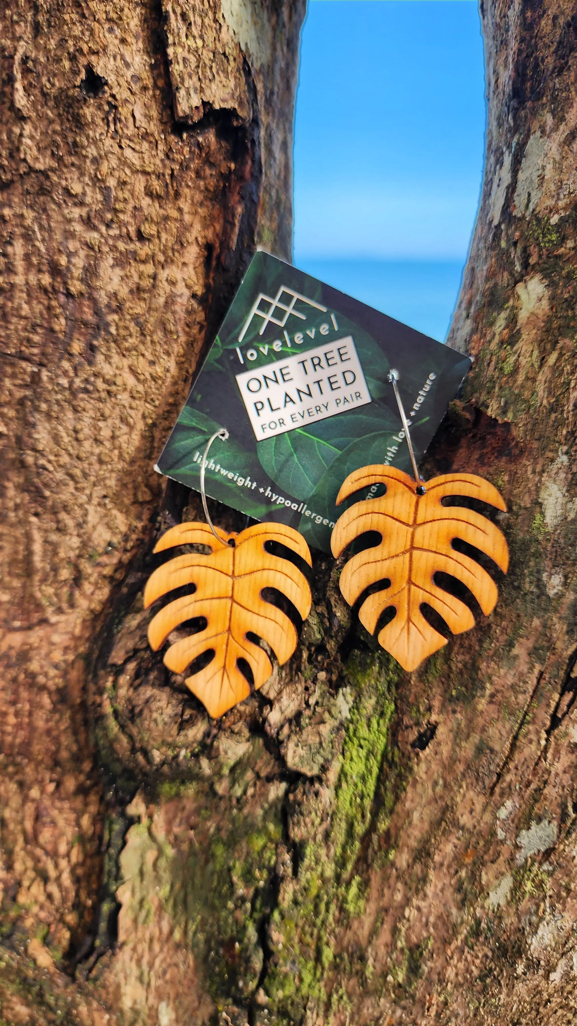 Hawaii Wood Earrings | MONSTERA