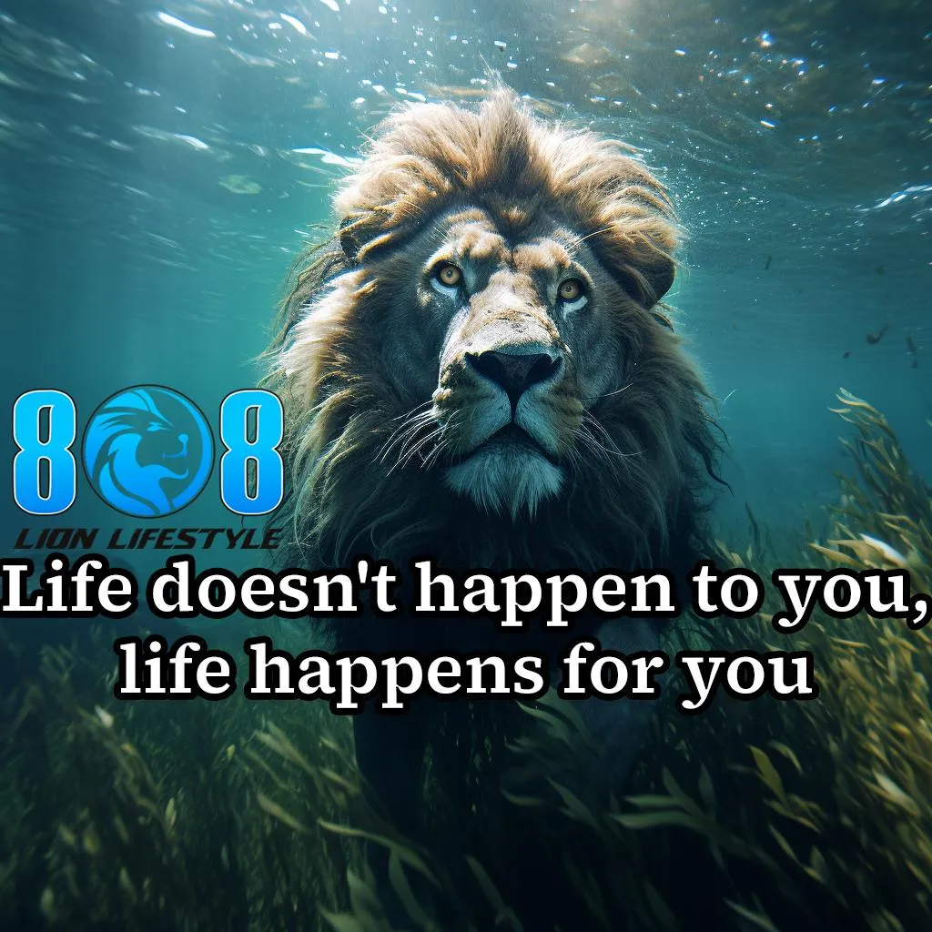 Life's For You Canvas