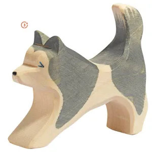 Ostheimer Sled Dog - Running