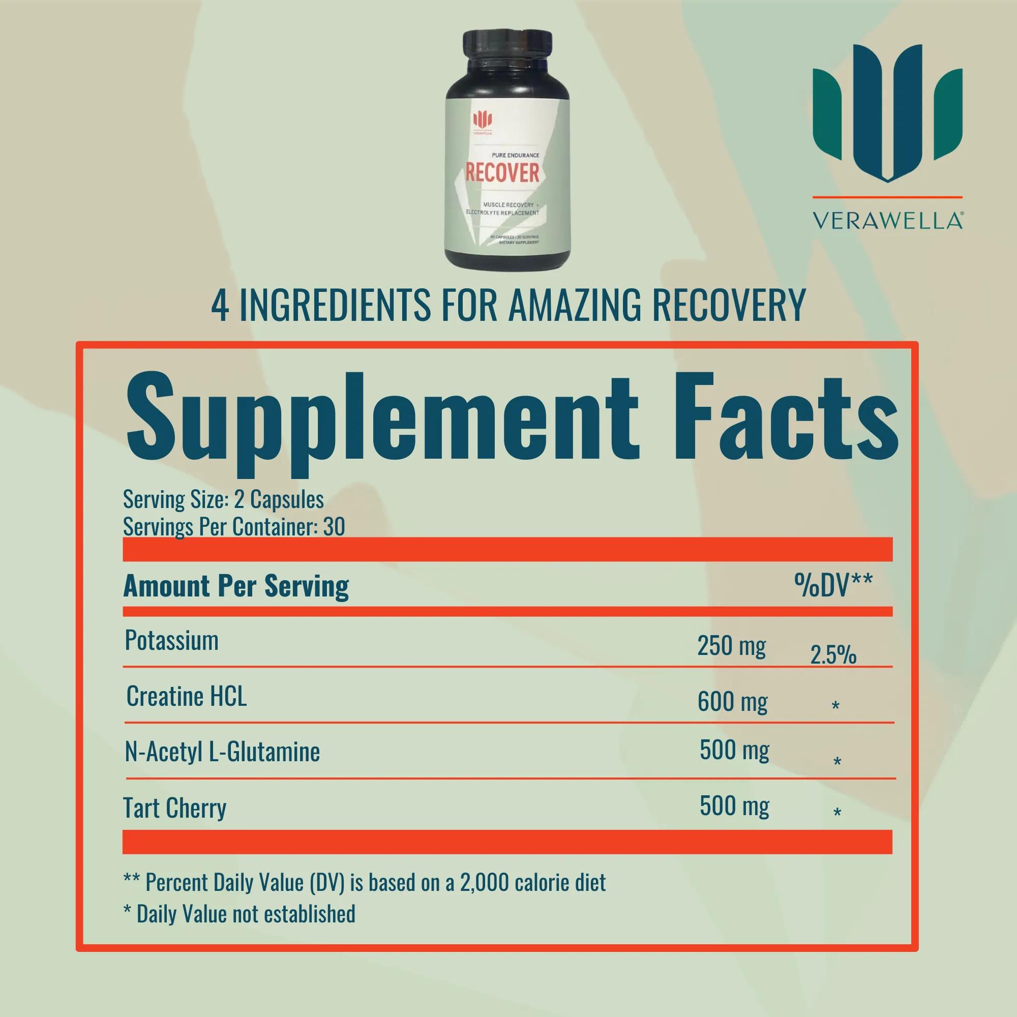RECOVER - Pure Endurance