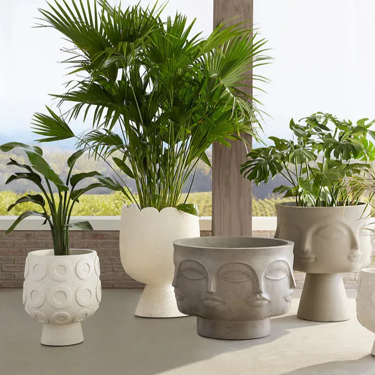 Scallop Concrete Planter