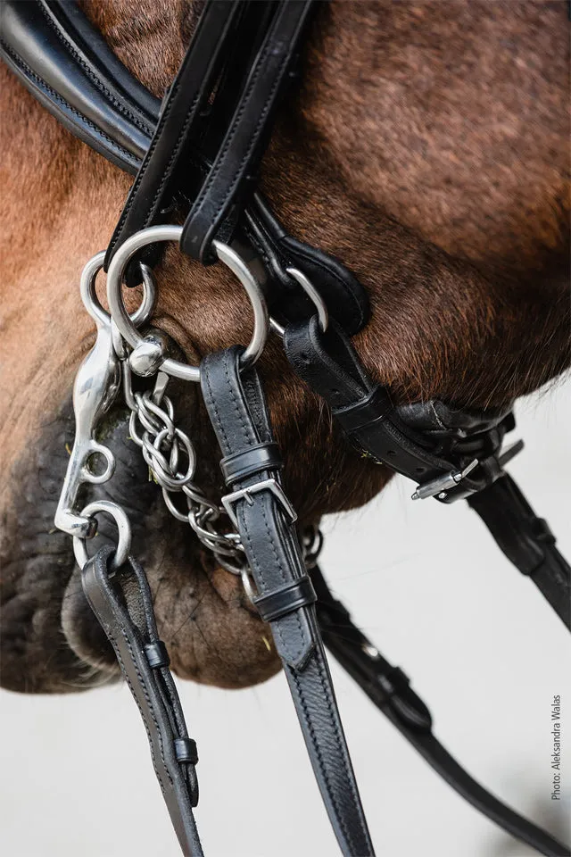 Schockemohle Milton Double Bridle Black with Silver