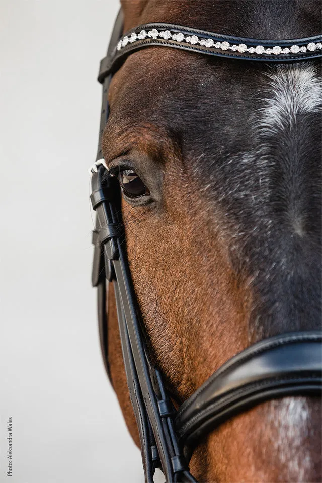 Schockemohle Milton Double Bridle Black with Silver