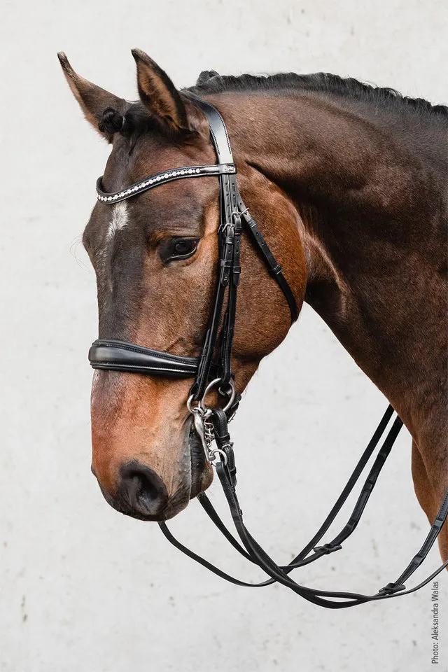 Schockemohle Milton Double Bridle Black with Silver